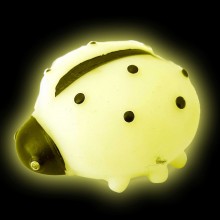 Mordedor Pet Joaninha Baby Fosforescente - Petgrows