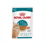 Ra��o �mida Royal Canin Gatos Adultos 11+ Sach� 85g