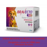 Antipulgas e Carrapatos Bravecto 365 Suspens�o Injet�vel para C�es