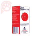 FATOR PULMO-COR HOMEOPATIA CARDACA E PULMONAR 26G