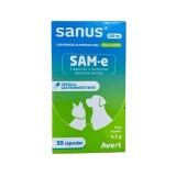 Sanus SAM-e 100 mg Avert ? Suplemento Hepático e Neurológico para Cães e Gatos