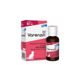 Varenzin para Gatos com DRC | Tratamento da Anemia Felina em Casa
