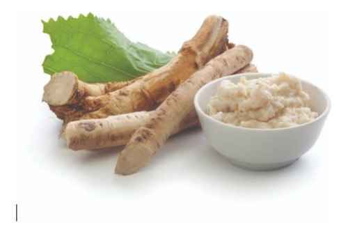 RAIZ FORTE SCANDIA 90G GOURMET