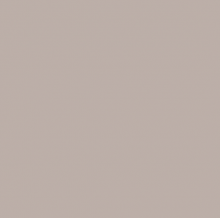 L573 Formica Nude Brilhante 1,25mx3,08mx0,8mm