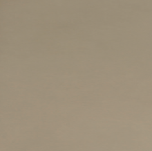 F667 Formica Natural Leather Couro 1,25mx3,08mx0,8mm