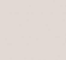 PP55 Pertech Manganes Texturizado 1,25mx3,08mx0,8mm