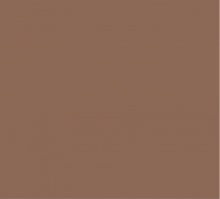 F200 Formica Cacau Top Matte 1,25mx3,08mx0,8mm