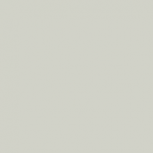 L119 Formica Cinza Claro Top Matte 1,25mx3,08mx0,8mm