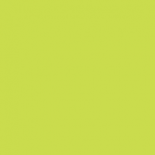 L011 Formica Verde O�sis Texturizado 1,25mx3,08mx0,8mm