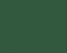 L583 Fita de borda Verde Selva 22mm x 20m espessura 0,45mm