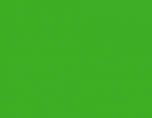 LT56 Fita de borda Vibrant Green 22mm x 20m espessura 0,45mm