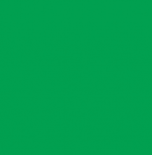 PP2205 Pertech Citrus Brilhante 1,25mx3,08mx0,8mm