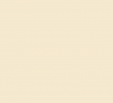 PP96 Pertech Ovo Brilhante 1,25mx3,08mx0,8mm