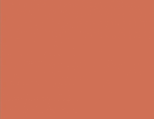 Fita de borda L584 Terracota Texturizada 64mm x 20m espessura 0,45mm