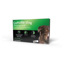 CAPSTAR 57 MG VERDE C/ 1 COMPRIMIDO