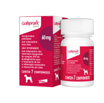 GALLIPRANT 60 MG COM 7 COMPRIMIDOS