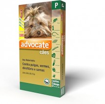 ADVOCATE CAES P  COMBO 