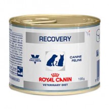 Royal Canin RECOVERY CANINE E FELINE  195 g
