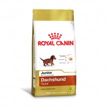 Royal Canin DACHSHUND filhotes 2,5 KG