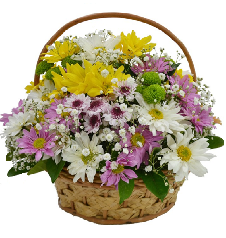 Cesta De Flores Do Campo Paloma Flores