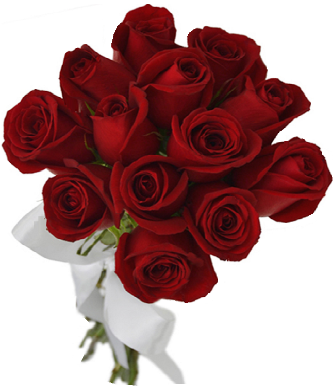 Buque 13 Rosas Vermelhas E Laco Cetim Paloma Flores